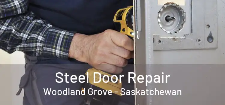 Steel Door Repair Woodland Grove - Saskatchewan